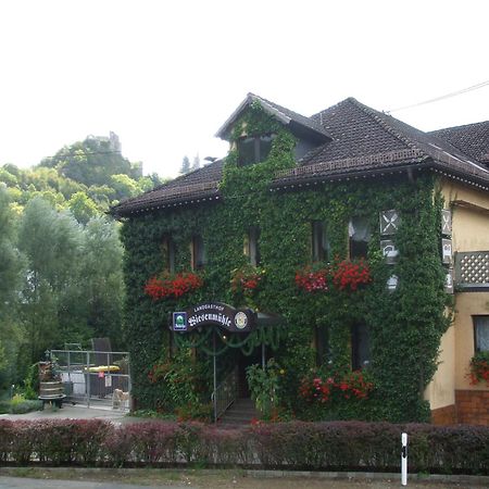 Landgasthof Wiesenmuehle Hotel Burg Hohenstein Ngoại thất bức ảnh