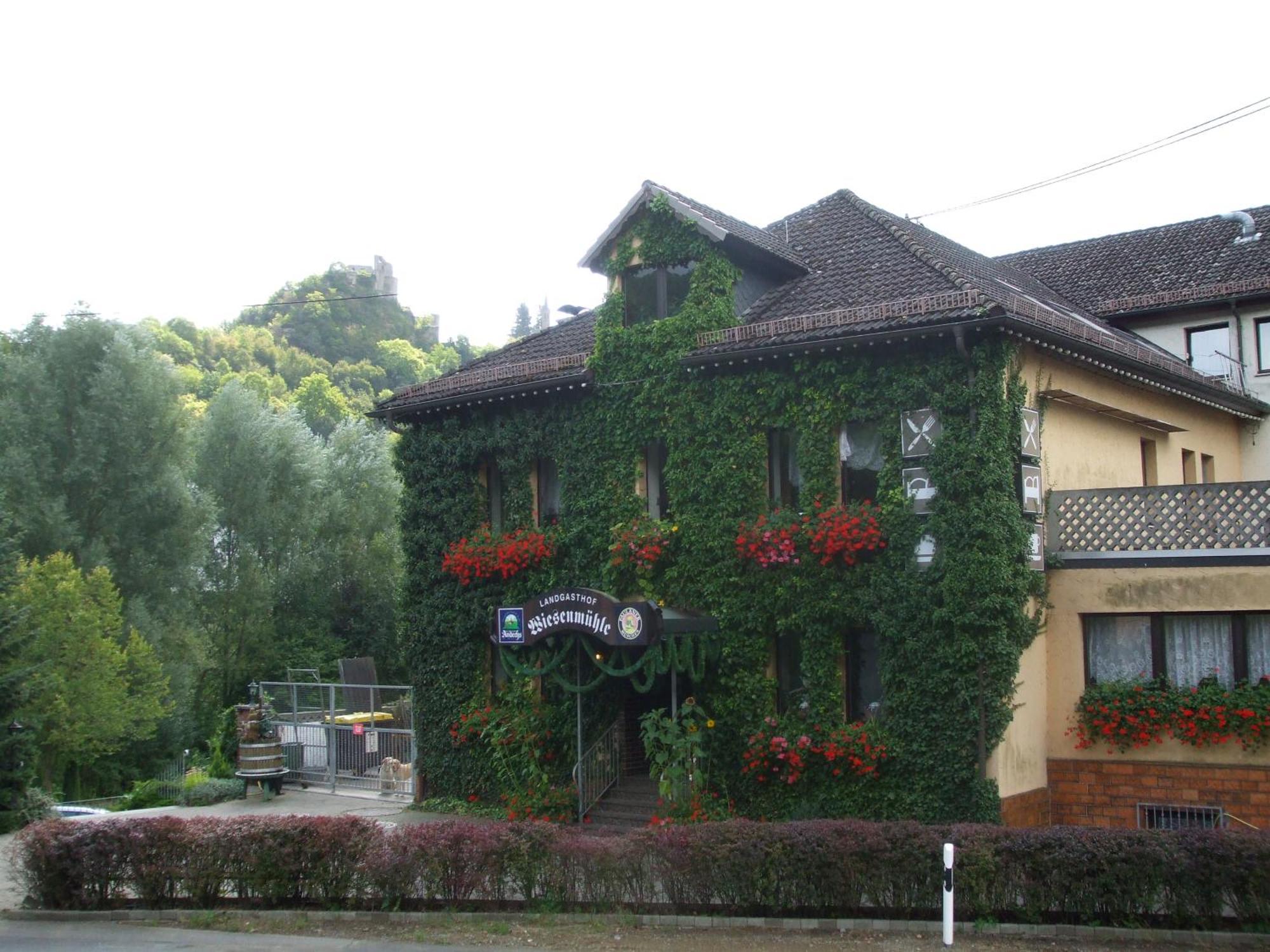 Landgasthof Wiesenmuehle Hotel Burg Hohenstein Ngoại thất bức ảnh